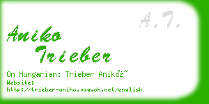 aniko trieber business card